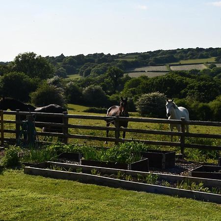 Moorland Breeze Villa Bodmin Eksteriør bilde