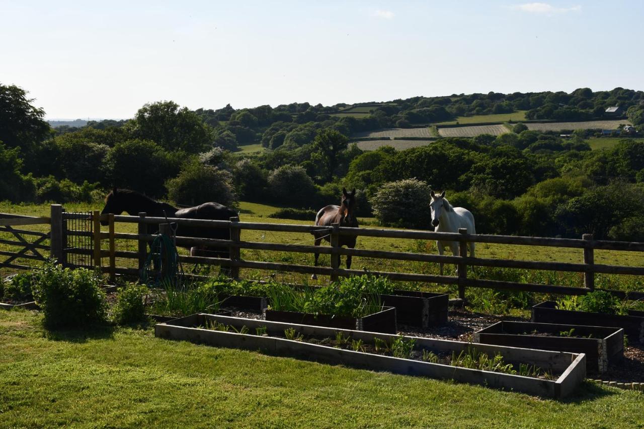 Moorland Breeze Villa Bodmin Eksteriør bilde